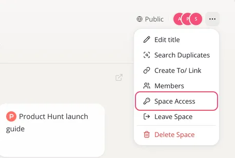 A Space’s menu with Space Access outlined, next to the Public label in the Space’s header